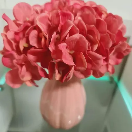 51 Διαμέρισμα