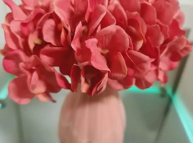 51 Апартаменты